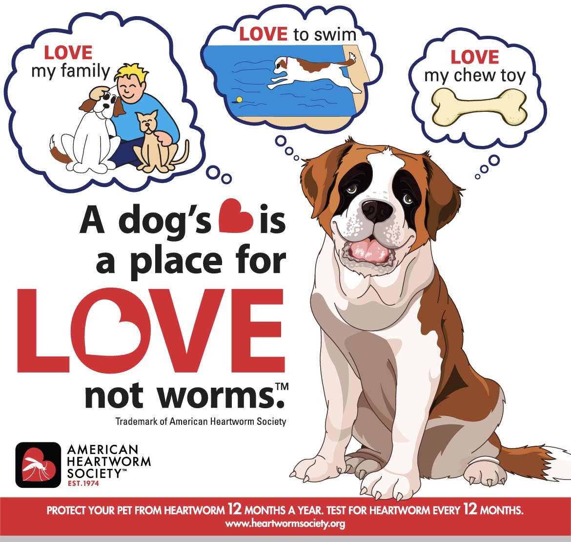 A dogs heart
